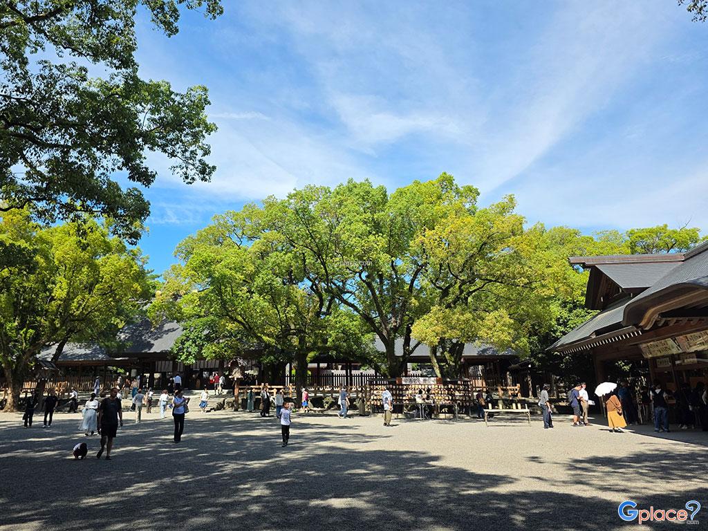 Nagoya City Tour - Day1