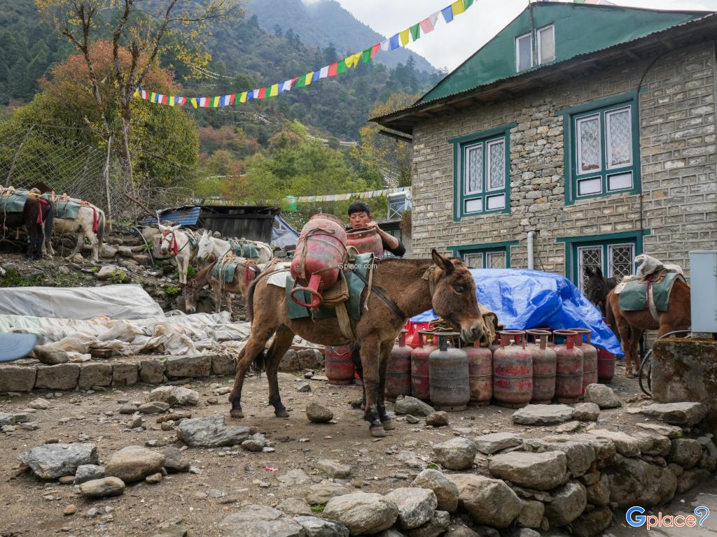 เส้นทาง trekking Everest Base Camp (EBC)