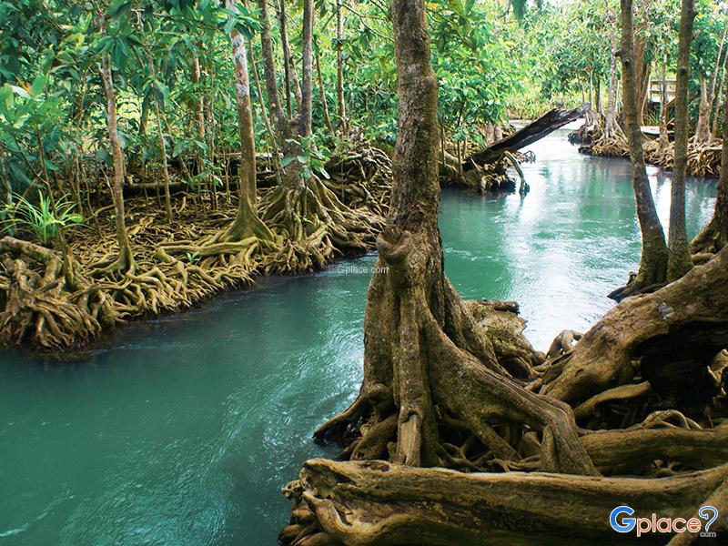 ターポム・クローン・ソンナーム（Tha Pom Khlong Song Nam）
