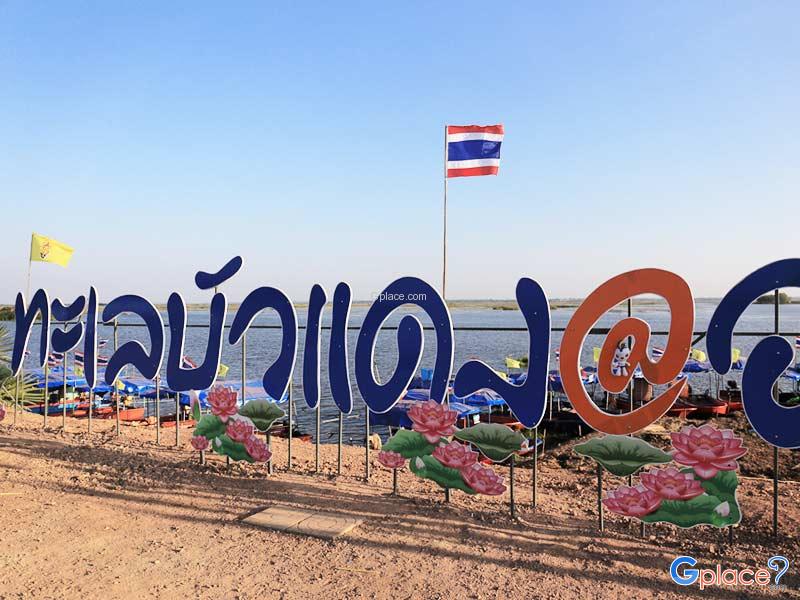 红莲花海 农汉坤帕瓦丕湖