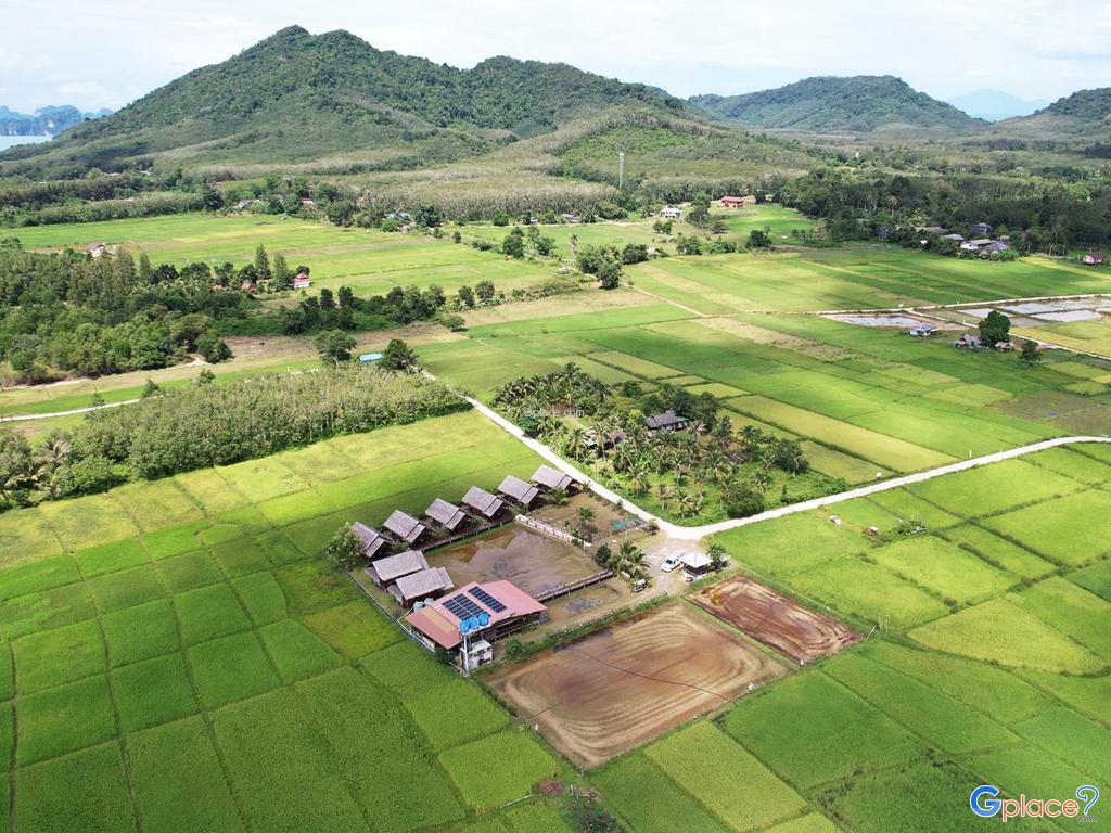 Num Na Thon