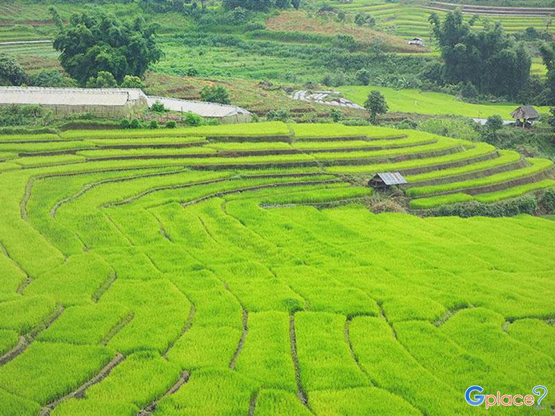 Mae La Noi Royal Project