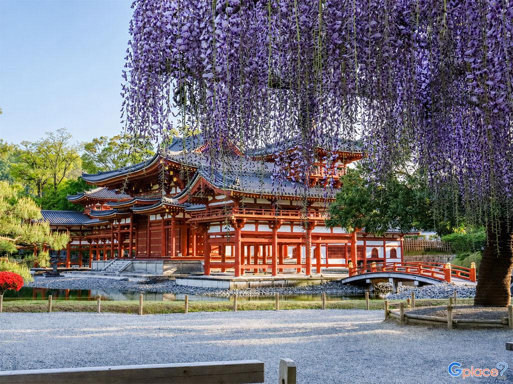 Byodoin Temple