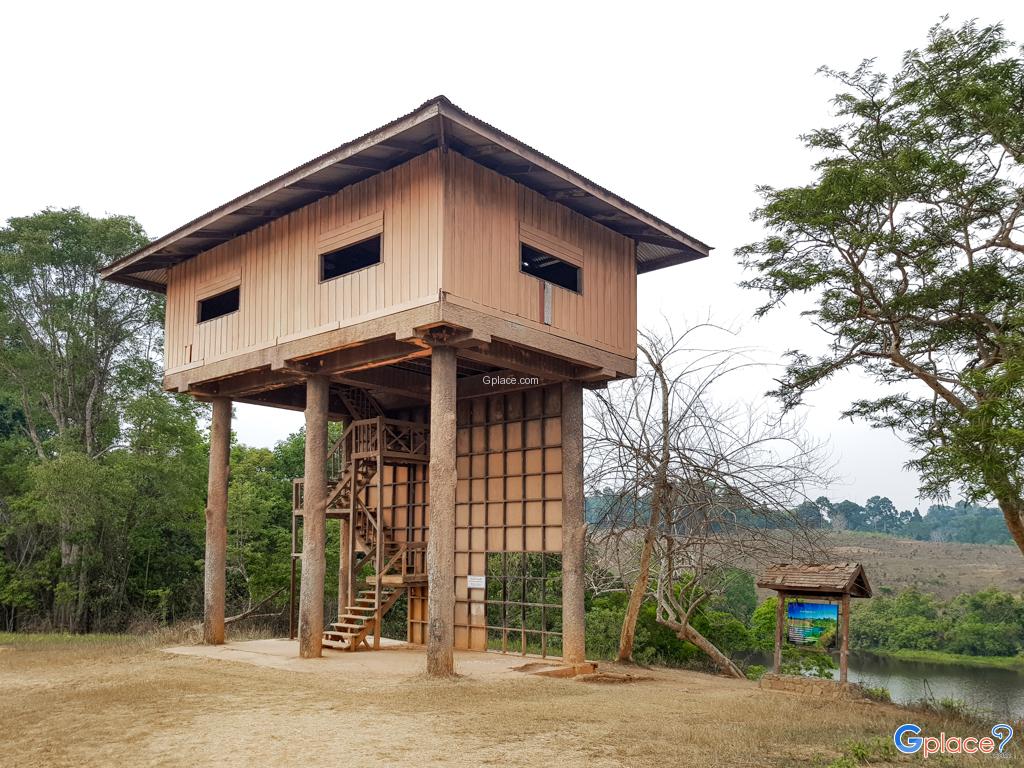 ノーンパックチ