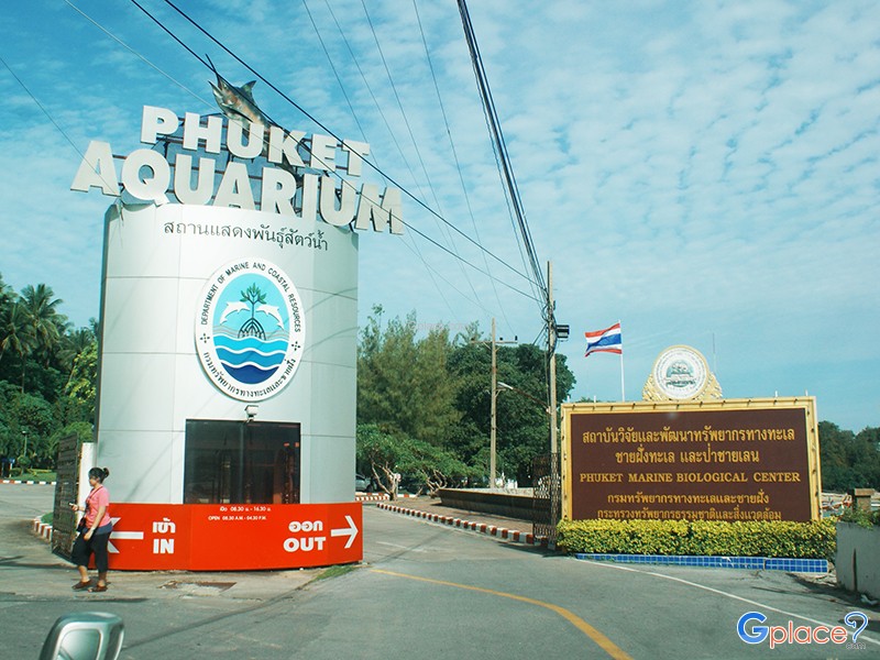 และป้าย Phuket Aquarium สถานแสดงพันธุ์สัตว์น้ำภูเก็ต
อยู่คู่กัน ทางเข้า