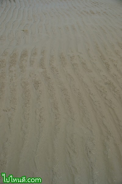 หาดทราย หัวหิน ขอสัมผัสใกล้ๆ หน่อย