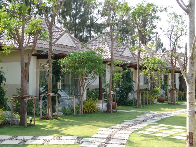 Suite Garden