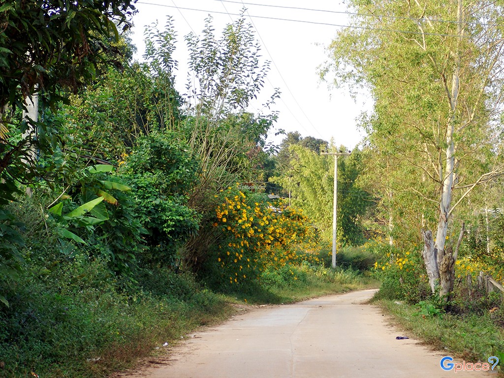 ทางเข้าหมู่บ้าน