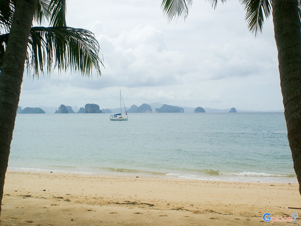 ป่าเกาะ...ที่หาดป่าทราย