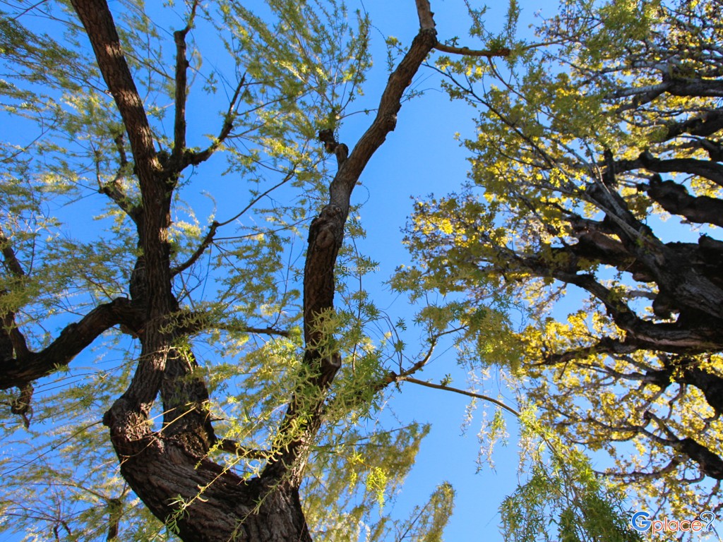 today it is a blue sky day.
