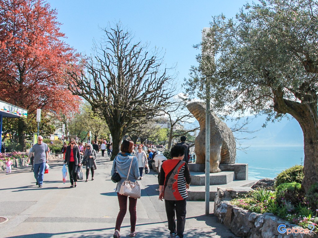 walking street beside the lake