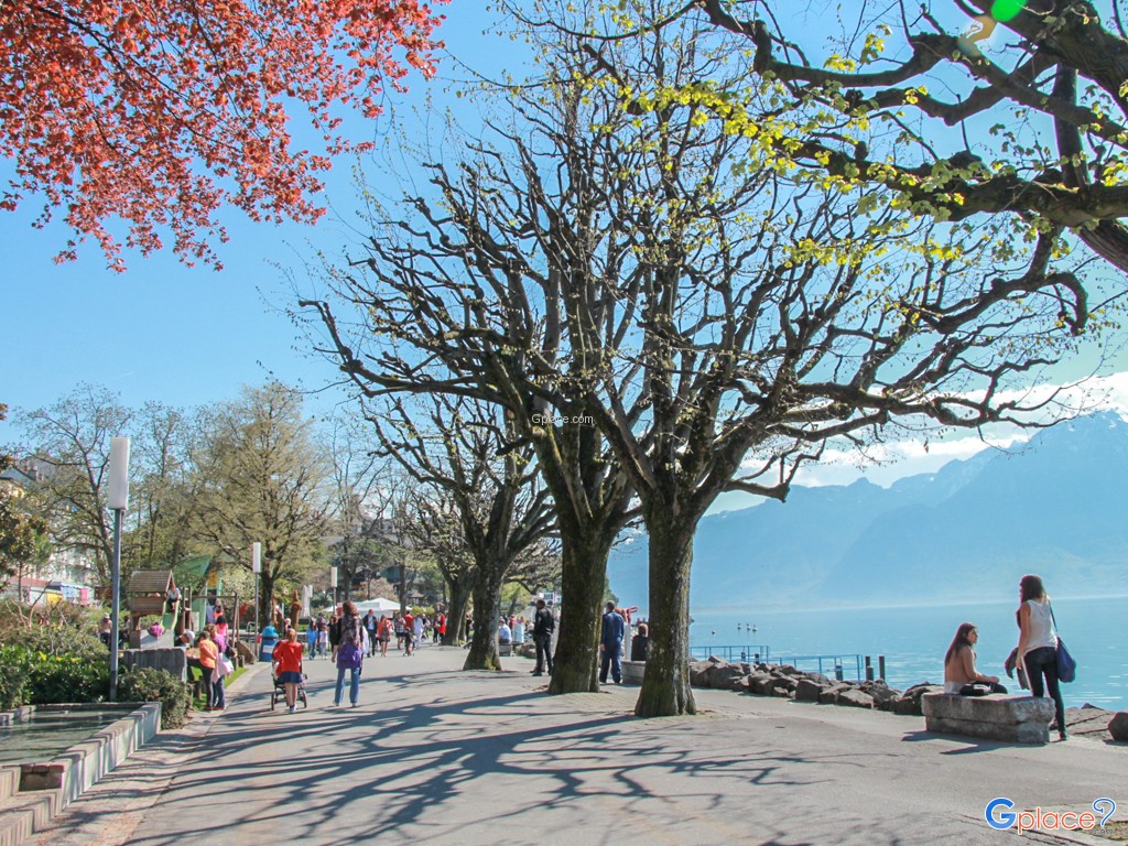 Right now at 16:20 hrs, I planed to go to Chateau de Chillon today.  so better be in the pier before 16:40 hrs.
Better run now.