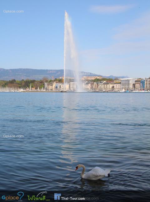 Geneva Lake is situated in South-West of Switzerland, border to French, covering 582 sq.kms.