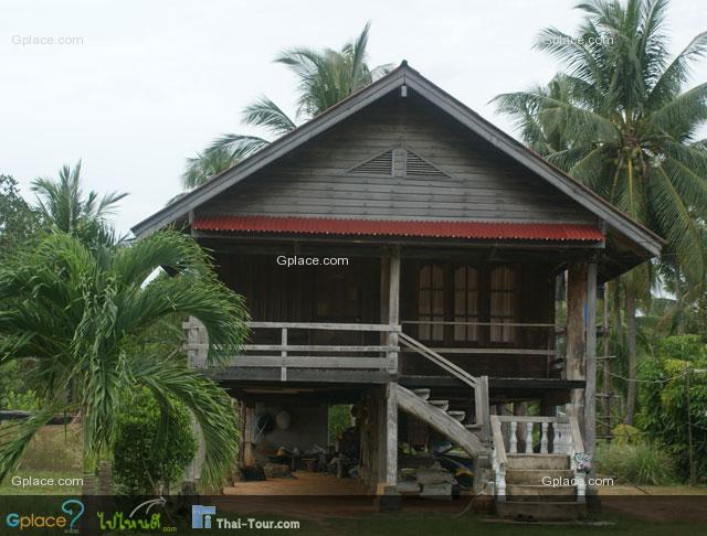 เรือนภาคใต้อยู่ที่หลังคาเรือนและ เสาเรือนจะเป็นเสาไม้ตั้งบนฐานคอนกรีตเหตุเพราะสภาพแวดล้อมทางธรรมชาติเกิดพายุไต้ฝุ่น พายุฝน ลมแรงเสมอ จำเป็นต้องมีโครงสร้างที่แข็งแรง ลักษณะเรือนไทยเป็นเรือนยกพื้นสูง แต่ว่าไม่สูงจนเกินไป พอที่จะเดินลอดได้