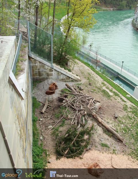 beneath the bridge, Bears - the symbol of Bern town.