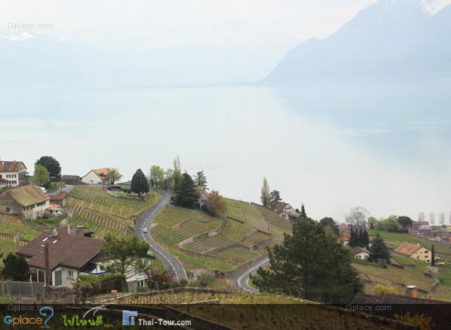 เช็คดูแล้วเฉพาะที่ Lavaux ผมถ่ายไป 200 กว่าภาพ ใช้ไป 300 MB