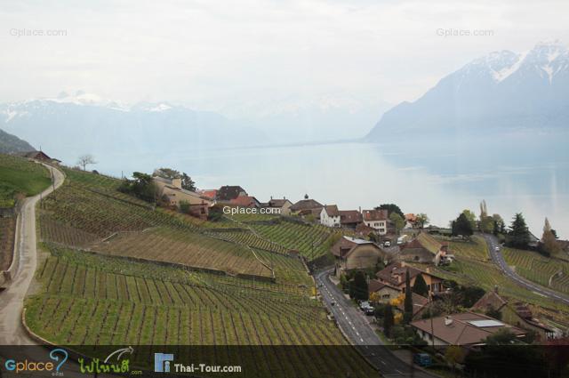 ในมุมที่สวยที่สุด....ลาวูกส์ (Lavaux) UNESCO world heritage 
มุมภายขึ้นปก