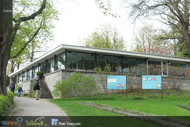 Rose Garden Restaurant.... some say here is the best place of watching the entire old town of Bern.