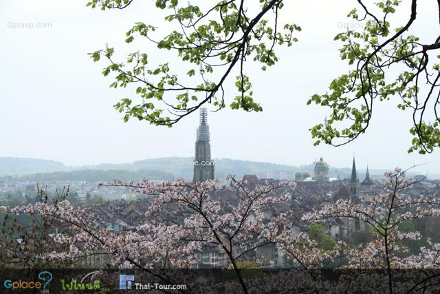 Good time to take the picture of Old town: about 17.00-19.00 hrs, I think.