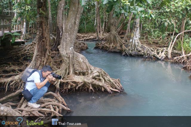 จุดถ่ายภาพ จุดแรกของผม