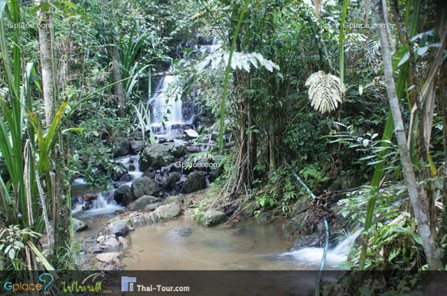 สายน้ำเพื่อชีวิต ชื่อ สถานีที่ 7 น้ำตกโตนไทร