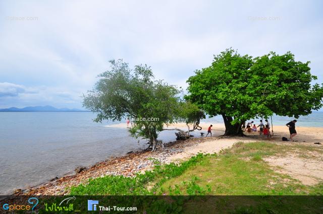 ที่เกาะกุฎี เหมาะแก่การเล่นน้ำมาก เพราะน้ำที่นี่ใสมาก