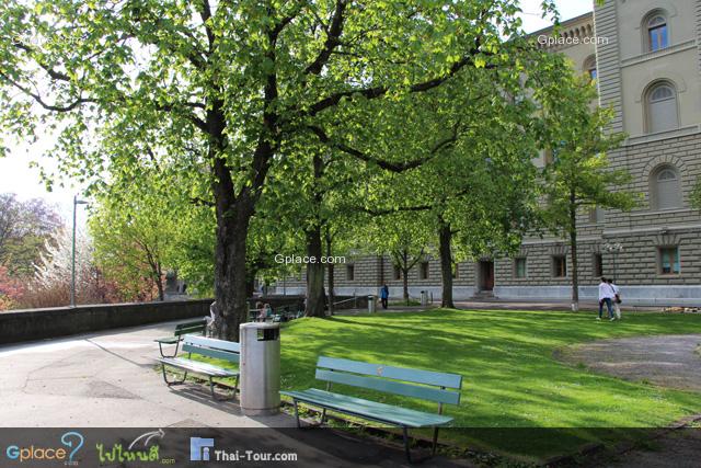 Park in the evening