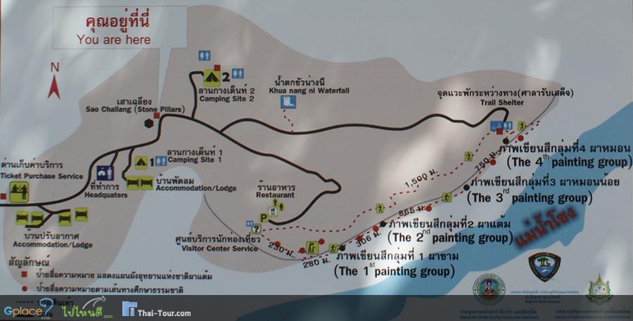 แผนที่ผาแต้ม ผมให้เริ่มสำรวจผาเขียนโบราณจากจุด ศูนย์บริการนักท่องเที่ยว
ให้เดินตามทางมาฝั่งริมหน้าผา จะพบทางเดินลง (ตามเส้นไข่ปลาบนแผนที่นี้) เดินเท้าเพียง 230 ม. ก็ถึง ภาพเขียนกลุ่มที่ 1