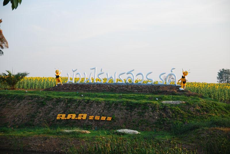 บ้านไร่พรสวรรค์ รีสอร์ทท่ามกลางไร่ดอกทานตะวันสีเหลืองอร่าม