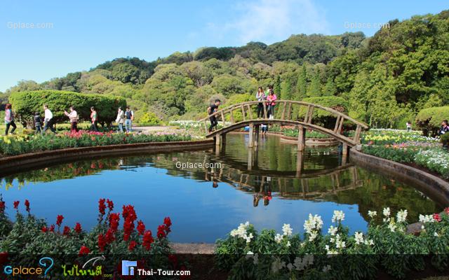 สวนไม้ดอกเมืองหนาวกับวิว 360 องศา ข้างพระธาตุฯ