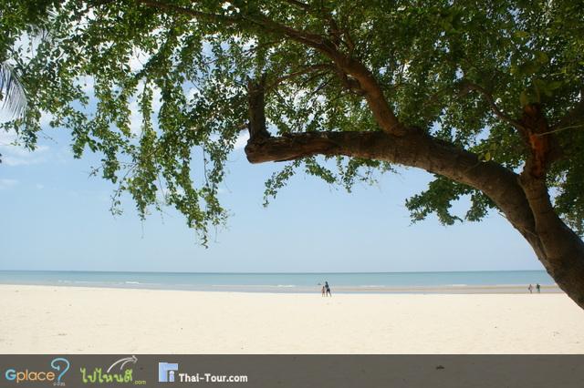 หาดทรายขาวสว่างไปทั่วทั้งชายหาดเลย