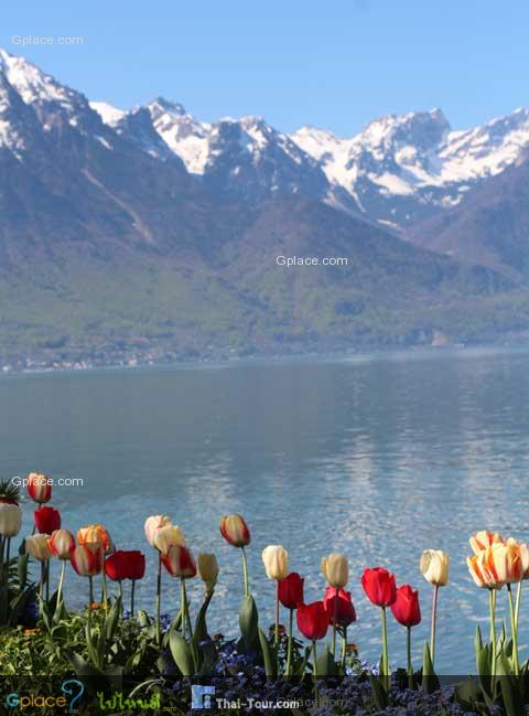 Bye Flowered Embankments - Quais fleuris