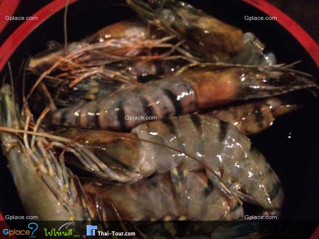 Hajime Robot Restaurant