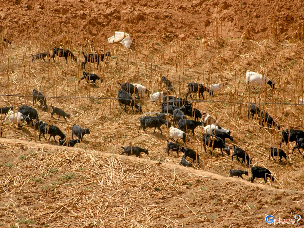 โค้งแรกแยงซีเกียง