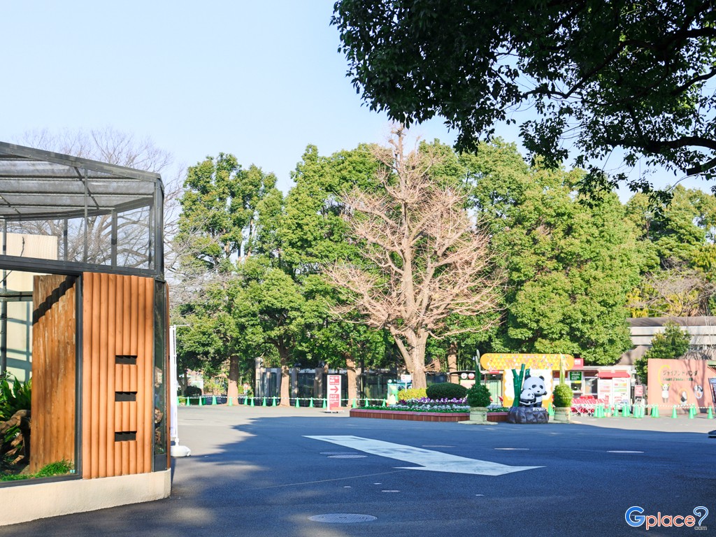 Ueno Zoo