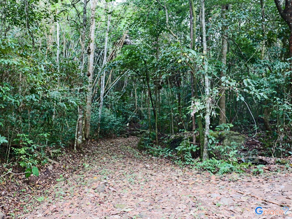 Khao Pang Forest Park