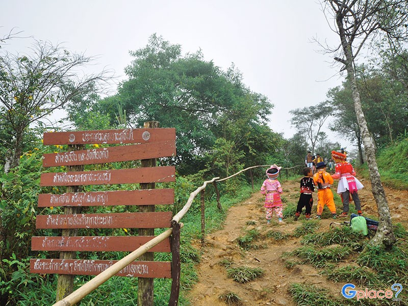 Phu Chi Fa森林公园