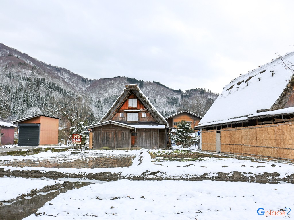 Ogimachi Village