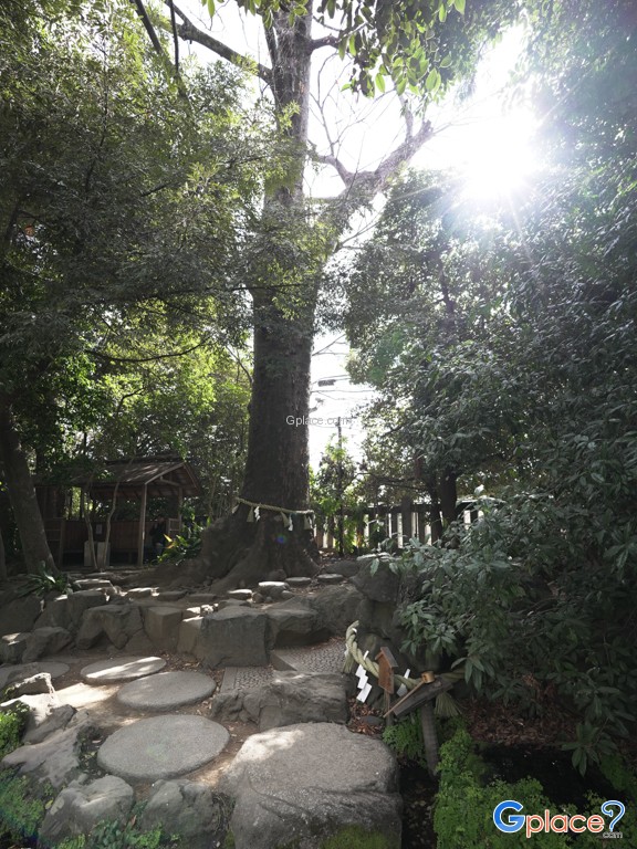 Kawagoe Hikawa Shrine