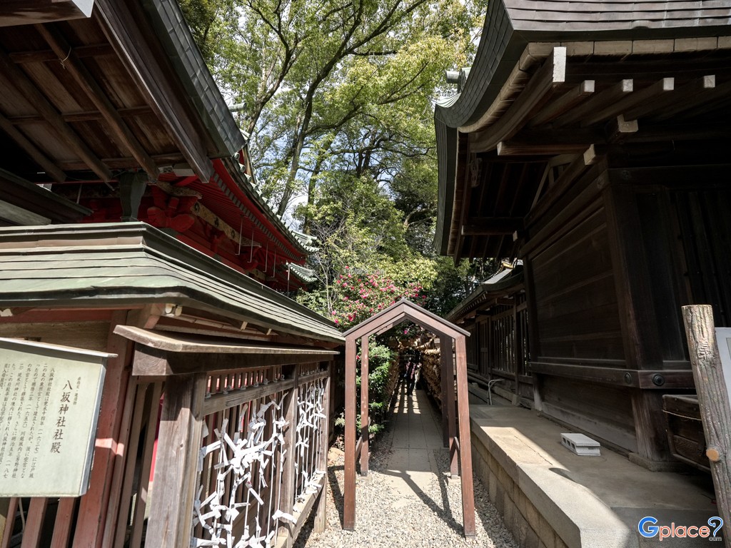 Kawagoe Hikawa Shrine