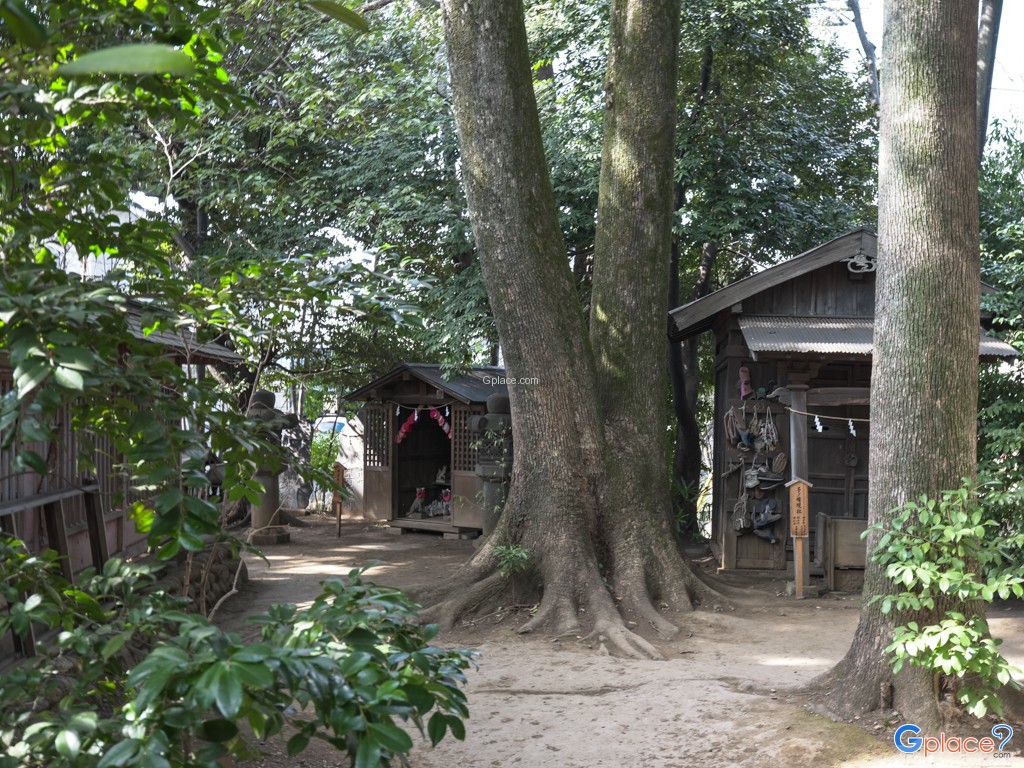 Kawagoe Hikawa Shrine