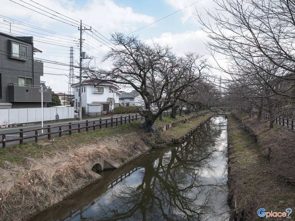 Kawagoe Hikawa Shrine