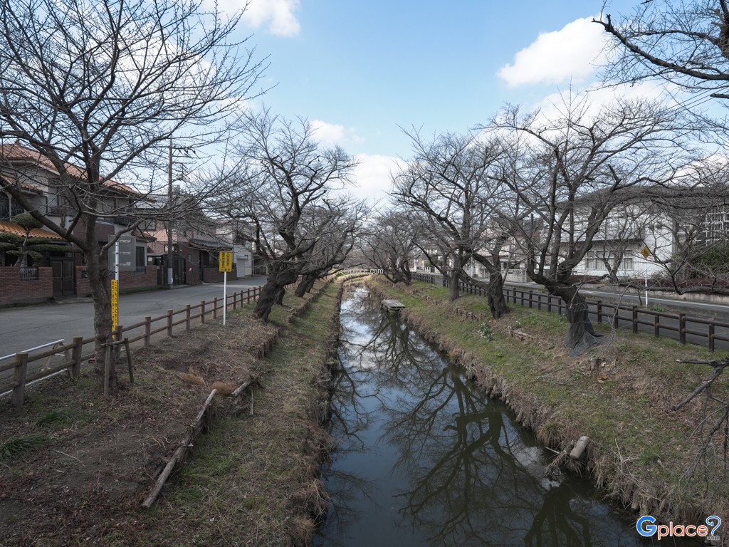 Kawagoe Hikawa Shrine