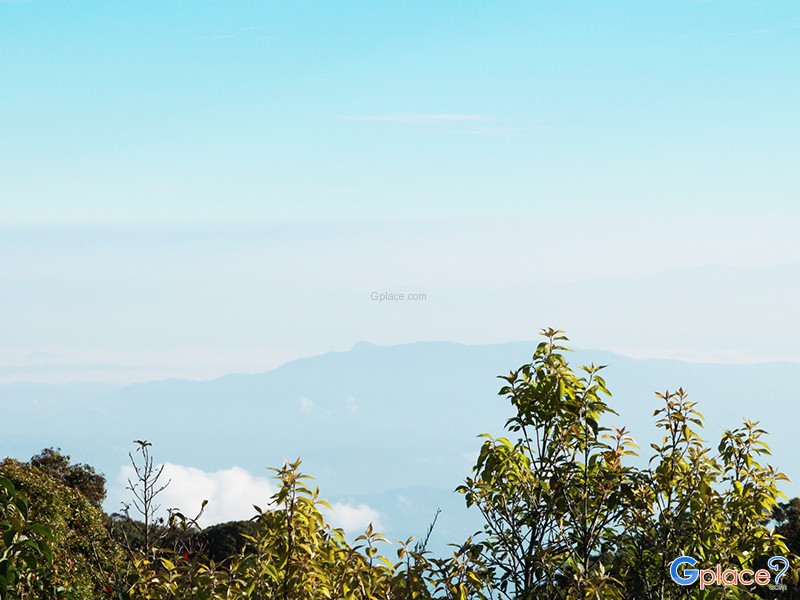 Top of Doi Inthanon