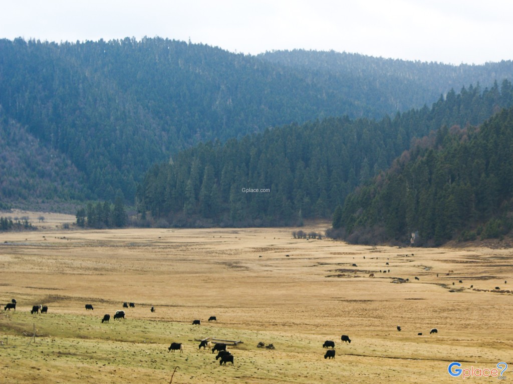 อุทยานแห่งชาติปู่ต๋าซั่ว