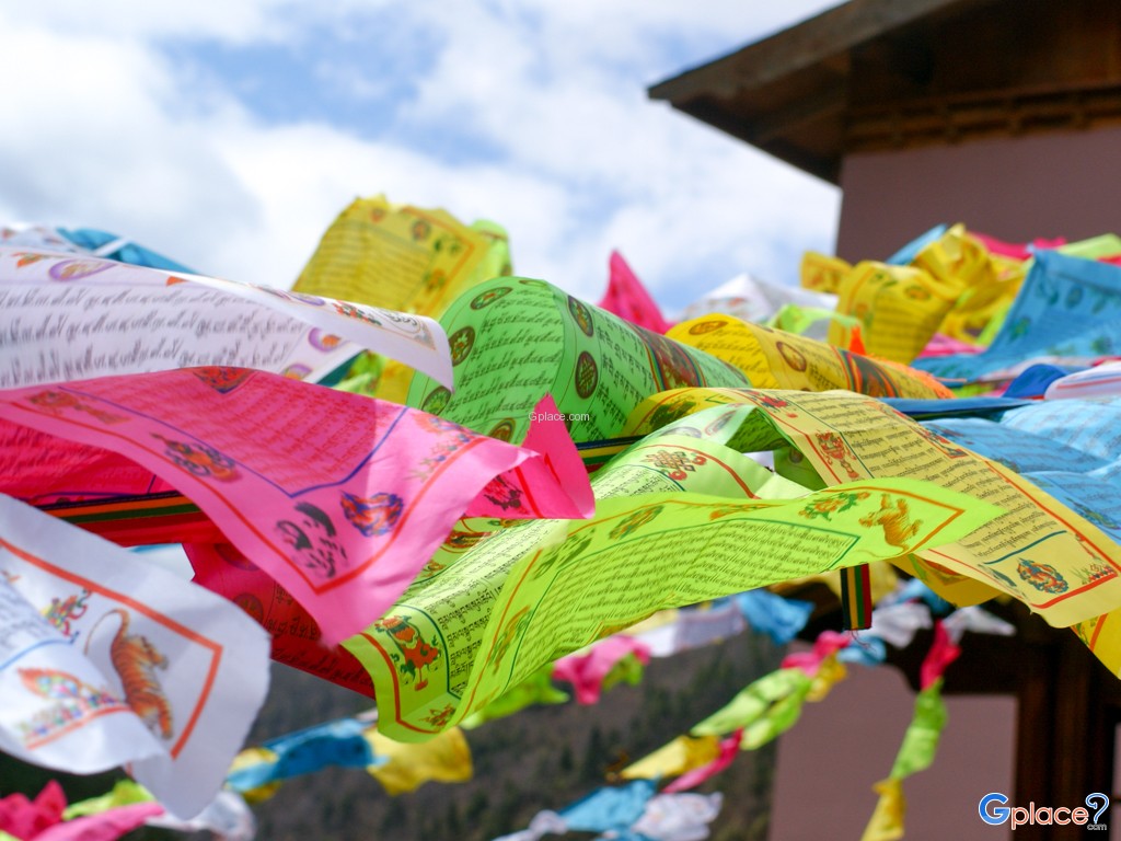 อุทยานแห่งชาติปู่ต๋าซั่ว