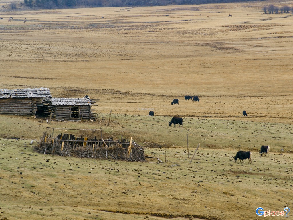อุทยานแห่งชาติปู่ต๋าซั่ว