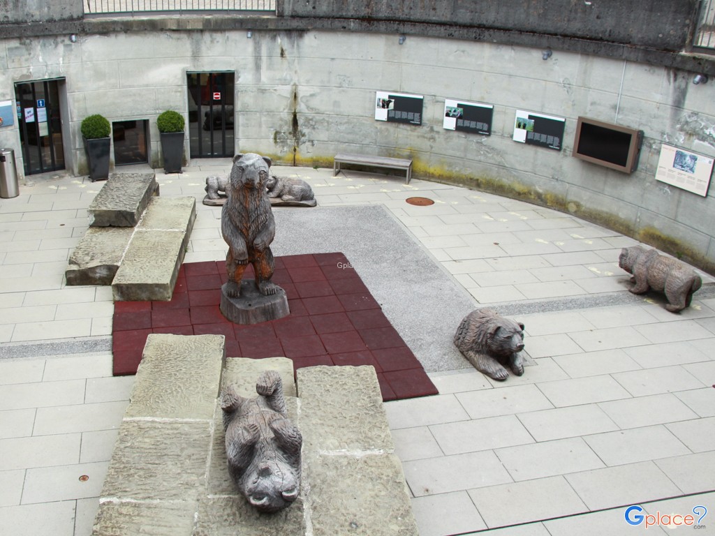 Bear Park Bern