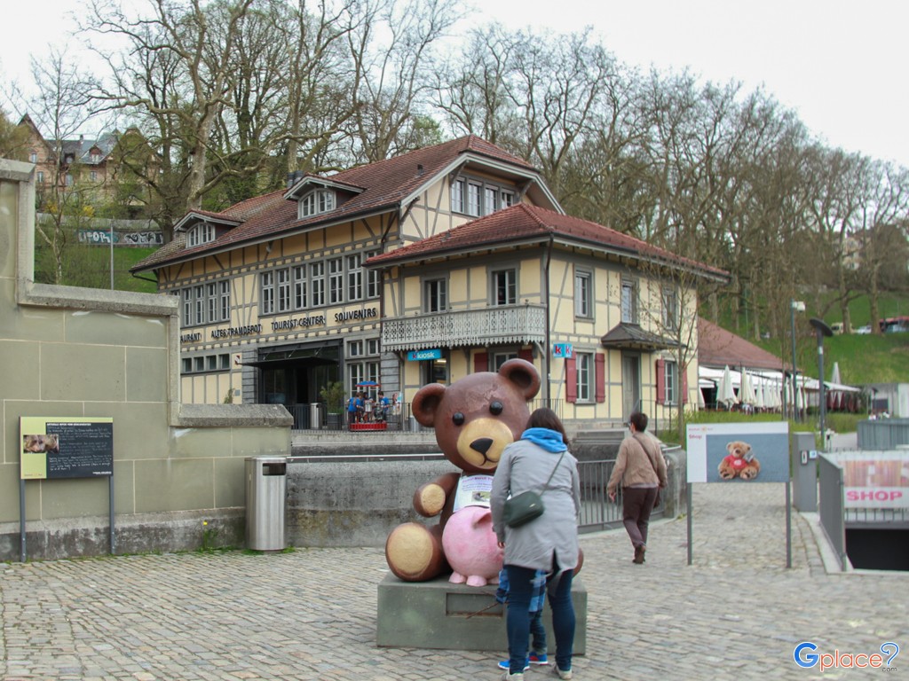 Bear Park Bern