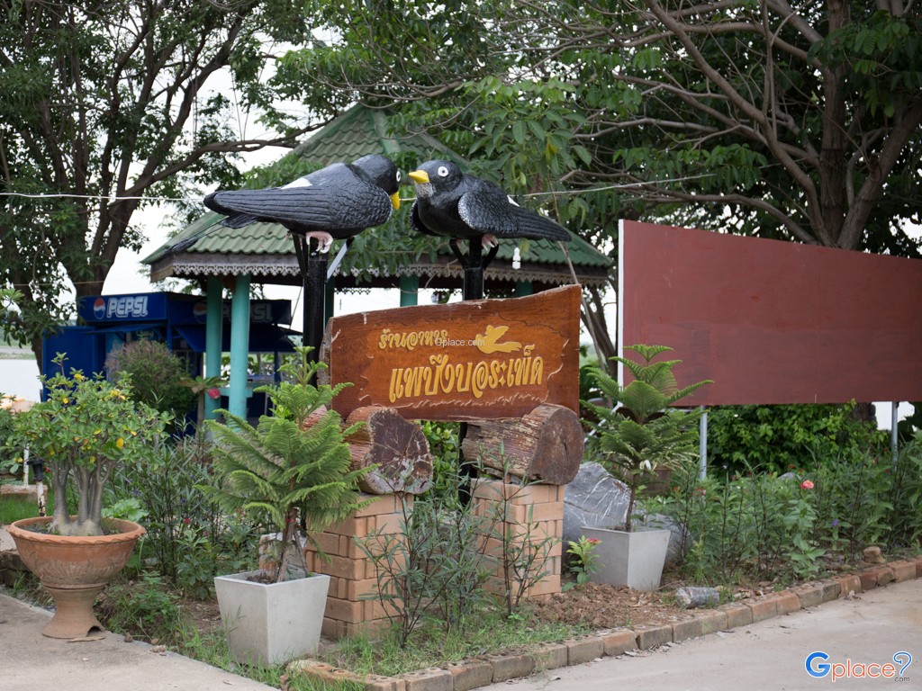 ร้านอาหารแพบึงบอระเพ็ด